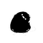はろるどん